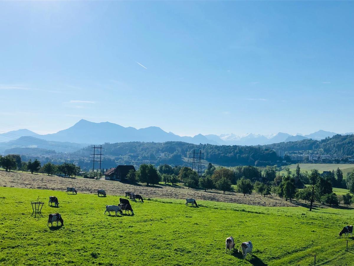 Auf Dem Bauernhof * Lucerne