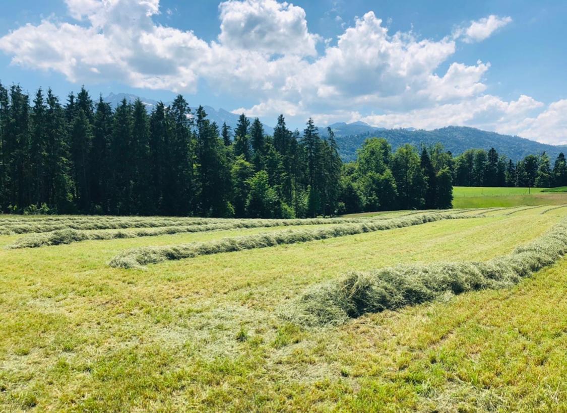 Auf Dem Bauernhof Lucerne